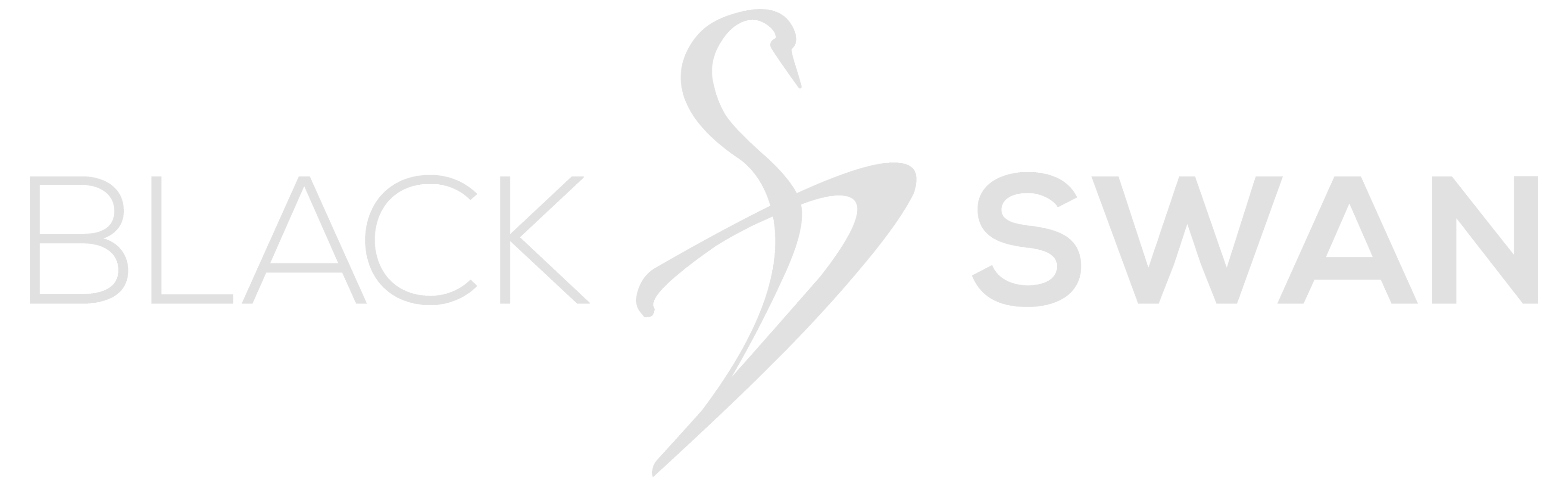 Logo BS
